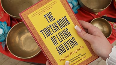 Tibetan Book of Living and Dying - 30 yearsyears