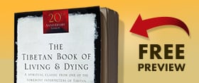 The Tibetan Book of Living and Dying free preview link